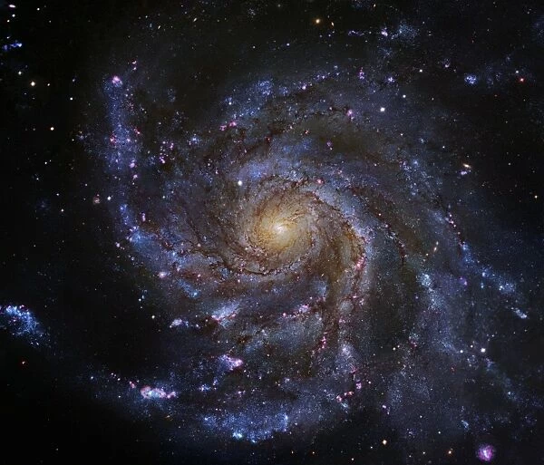 Pinwheel Galaxy (M101), Hubble image C017  /  3728