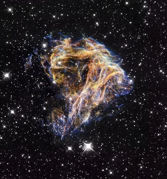 Supernova remnant LMC N 49
