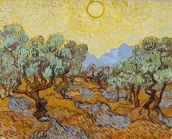 VAN GOGH: OLIVE TREES, 1889. Olive Trees with Yellow Sky and Sun. Oil on canvas