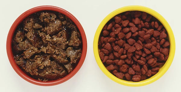 Two bowls of cat food; dry biscuits in yellow bowl, moist meaty food in a red bowl, above view