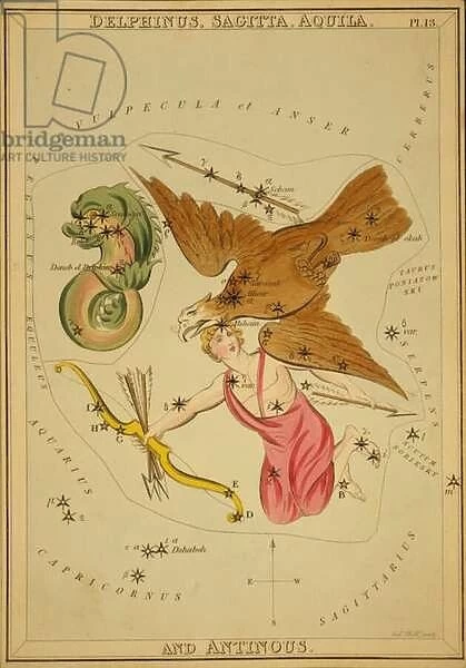 Delphinus, Sagitta, Aquila, and Antinous, Illustration from Uranias Mirror