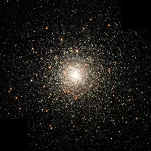 A Swarm of Ancient Stars