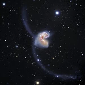 Antennae colliding galaxies C017 / 3745