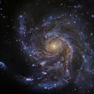 Pinwheel Galaxy (M101), Hubble image C017 / 3728