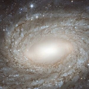Spiral galaxy, HST image