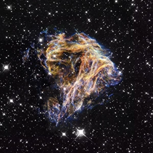 Supernova remnant LMC N 49