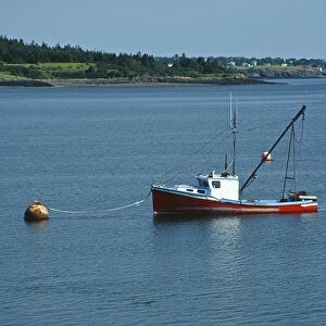 North America, USA, Maine, Lubec. Fishing boat anchored at Lubec, Maine
