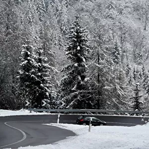 Landscape white in winter season