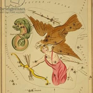 Delphinus, Sagitta, Aquila, and Antinous, Illustration from Uranias Mirror